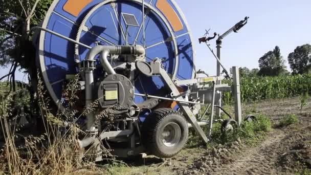 Agricultural Fields Getting Watered Irrigation Water Water Irrigation Canal Distributed — Vídeo de stock