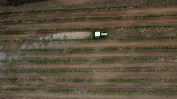 Tractor Creates Dust Cloud Its Used Cultivate Vineyards — Video