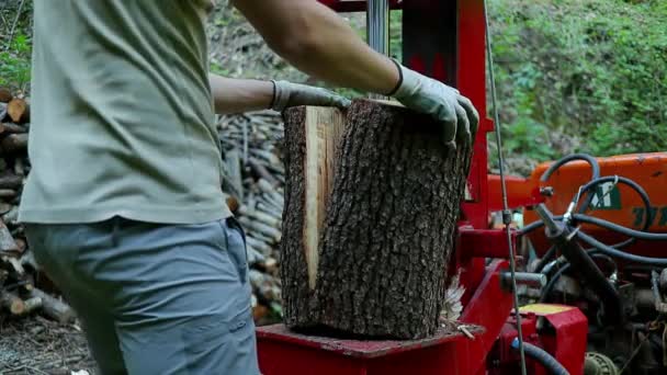 一个人用液压劈木机把原木劈成几块 大小可以控制 — 图库视频影像