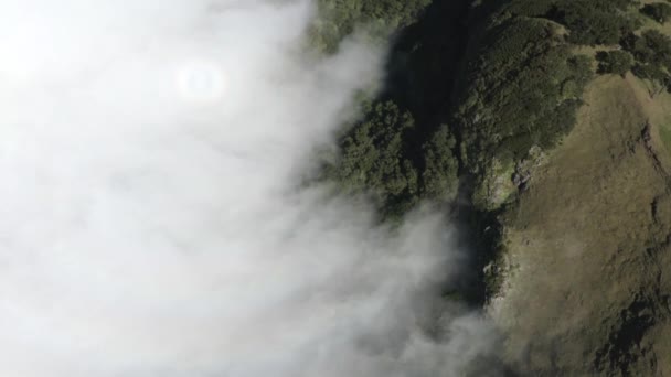 Aereo Indietro Tilt Rivelare Madeira Fanal Paesaggio — Video Stock