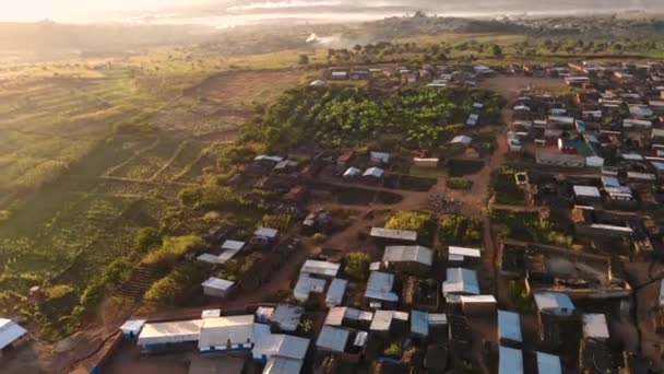 Malawi Village Huts Small Vegetable Gardens View — Stockvideo