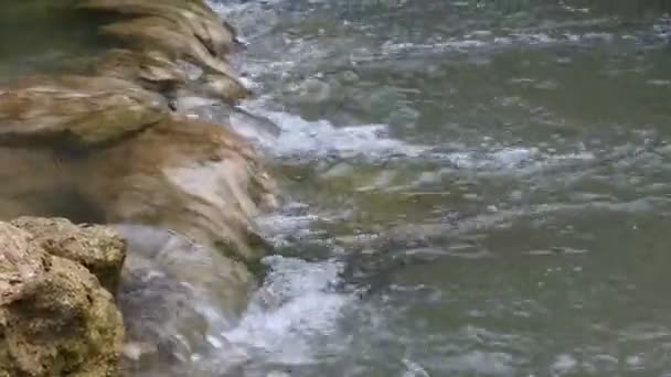 Запись Воды Выходящей Плотины Вода Ирригационных Каналов Природная Вода — стоковое видео