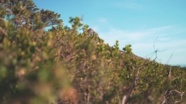 Schöne Aufnahme Einer Malerischen Aussicht Auf Die Natur Auf Einem — Stockvideo