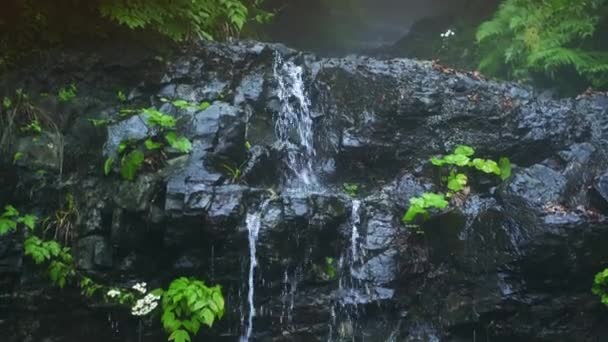 Kapky Vody Padající Krásné Skály Mechem Trávou Miniaturní Vodopád Vlhkém — Stock video