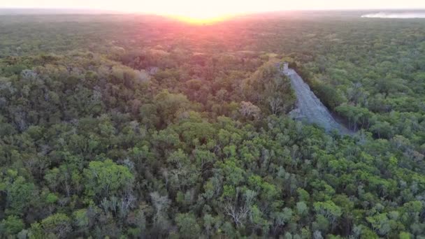 Sunset Coba Ruins Mayan World Tulum Aerial Drone Fly Quintana — Vídeos de Stock