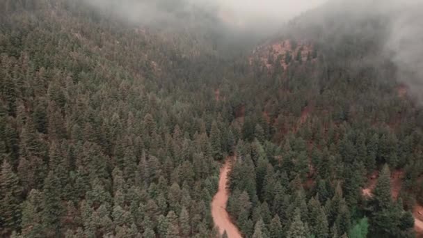 Luftaufnahme Zeigt Unbefestigte Straße Dichten Wald Des Cheyenne Canyon Colorado — Stockvideo