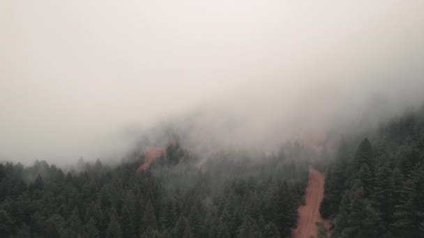 Vista Aérea Sobre Camino Tierra Través Una Espesa Niebla Niebla — Vídeos de Stock