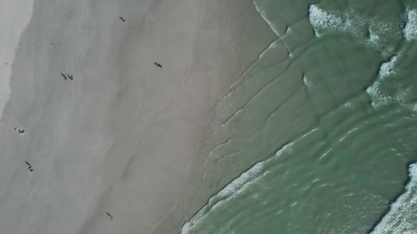 Haut Bas Des Vagues Turquoise Océan Big Bay Beach Afrique — Video