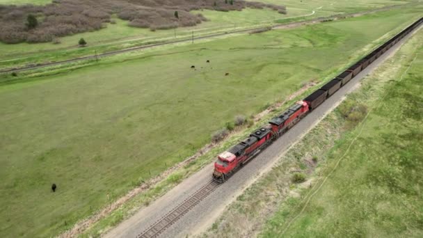 Tiro Rastreamento Aéreo Olhando Para Baixo Final Trem Carvão Viajando — Vídeo de Stock