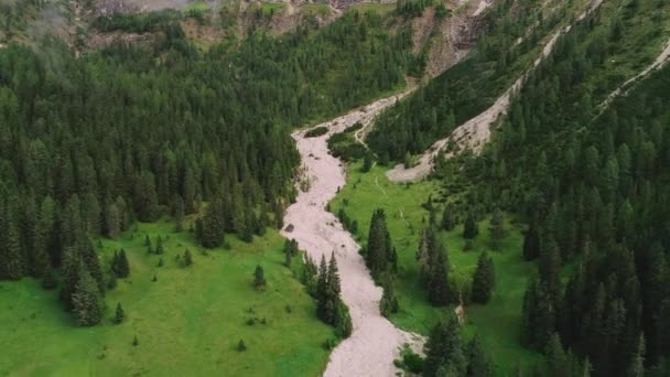 Aerial View Dense Woodland Forest Trail Valley Slope South Tyrol — Video
