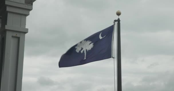 South Carolina Flag Blowing Wind — 비디오