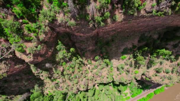 Drone Shot Flying Face Steep Rocky Canyon Cliff Wall Covered — Vídeos de Stock