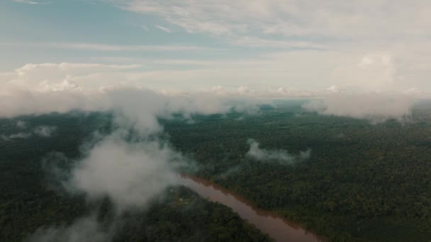 Peru Güneşli Bir Günde Amazon Yağmur Ormanı Nehir Üzerinde Süzülen — Stok video