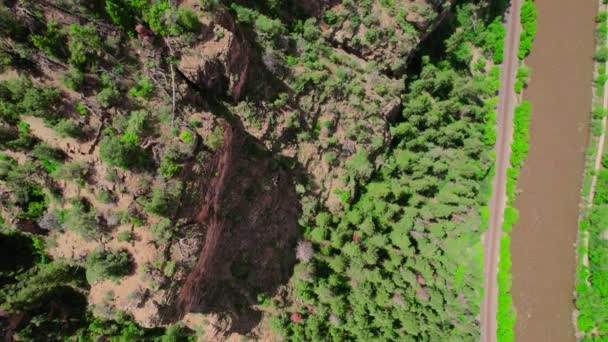 Aerial Footage Hovering Steep Gorge Canyon Cliffside Covered Bright Healthy — Video