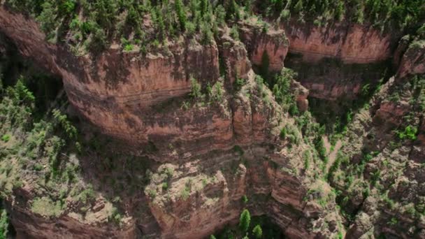 Aerial Shot Large Steep Rocky Canyon Gorge Face Covered Green — Vídeo de stock