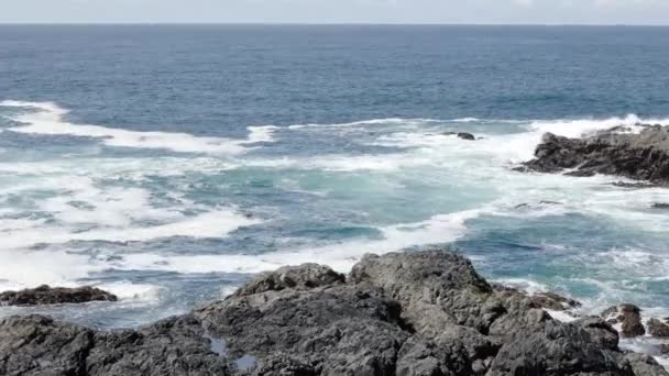 Handheld Video Waves Crashing Rocks Ocean Coast — Stock video