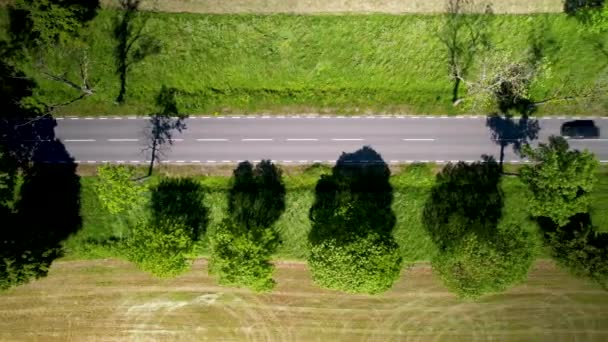 Vue Aérienne Grand Angle Voitures Passant Sur Route Entre Les — Video