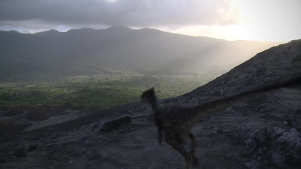 Dromeossauros Sombra Uma Paisagem Vulcânica — Vídeo de Stock