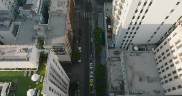 Drone Flying Downtown Los Angeles Daytime Gorgeous City Rooftops Mountains — Vídeo de Stock