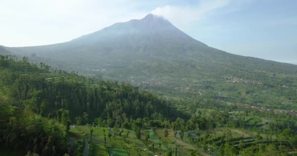 Invertendo Tiro Drone Vulcão Merapi Com Visão Rural Plantação Vegetal — Vídeo de Stock
