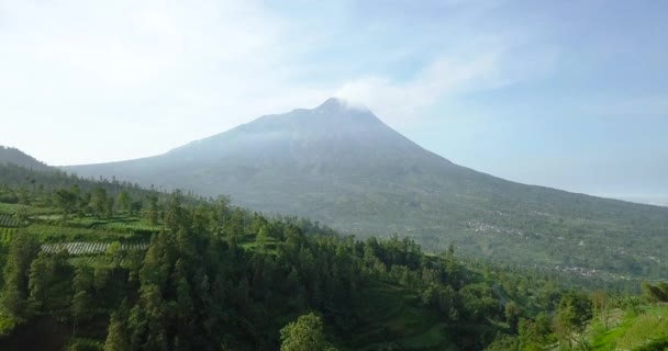 Vulcano Merapi Con Vista Rurale Piantagione Vegetale Denso Alberi Tempo — Video Stock