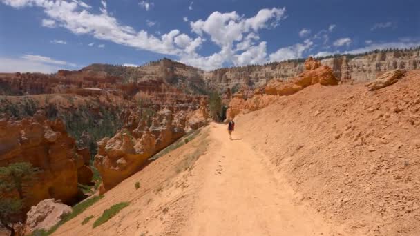 Jovem Caminhante Desfrutando Vista Desfiladeiro Parque Nacional Bryce Canyon Utah — Vídeo de Stock