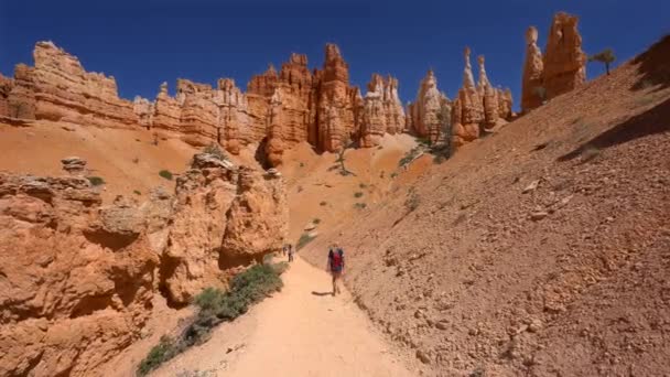 Jovem Caminhando Entre Hoodoos Bryce Canyon Utah — Vídeo de Stock
