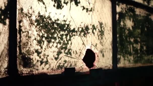 Broken Window Abandoned Building Dirty Unkempt Environment Video Horror Place — Vídeo de Stock