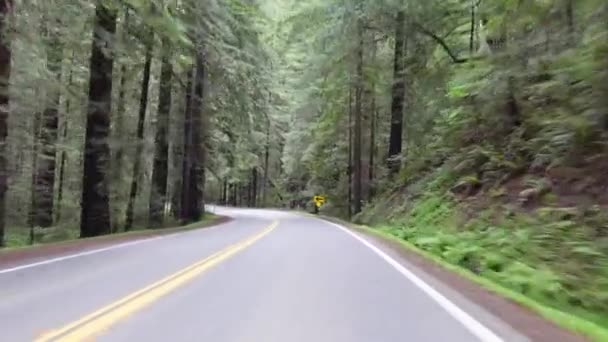 Pov Aufnahmen Vom Autofahren Auf Der Avenue Giants — Stockvideo