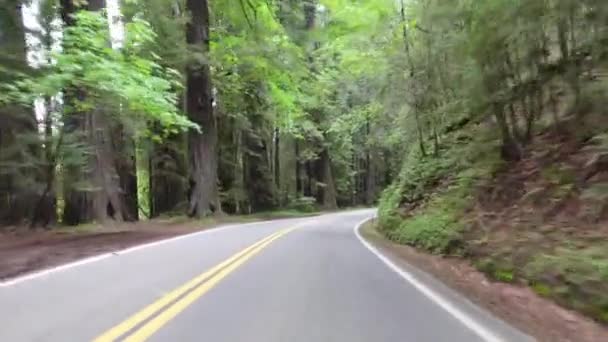 Pov Beelden Van Het Rijden Avenue Giants — Stockvideo