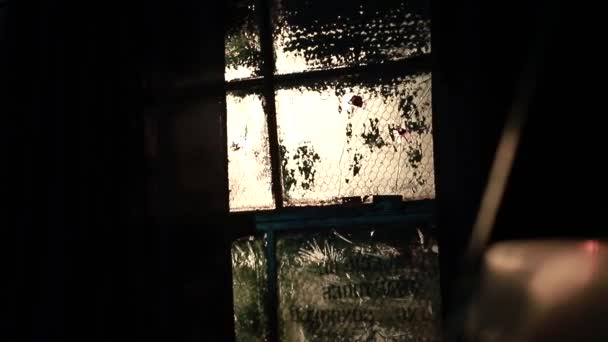 Old Window Its Dirty Glass Video Cinematic Horror Environment — Stock Video
