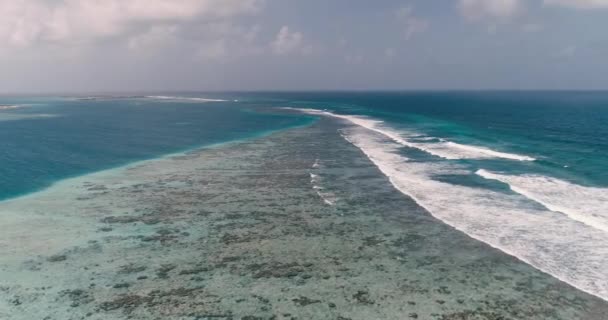 Barreira Recifes Coral Dia Ensolarado Ondas Surf Superfície Mar Azul — Vídeo de Stock