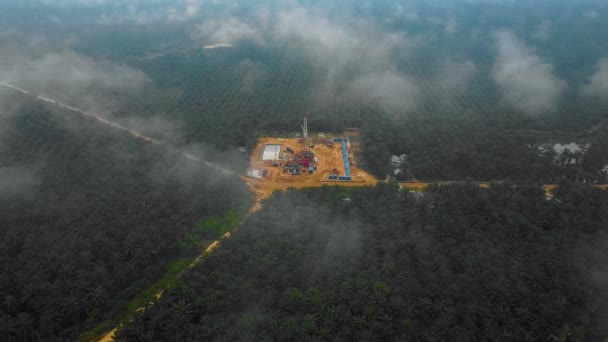 Gün Batımında Ormanın Ortasında Palmiye Yağı Ağaçlarıyla Çevrili Petrol Arama — Stok video
