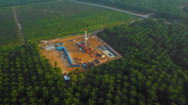 Gün Batımında Ormanın Ortasında Palmiye Yağı Ağaçlarıyla Çevrili Petrol Arama — Stok video