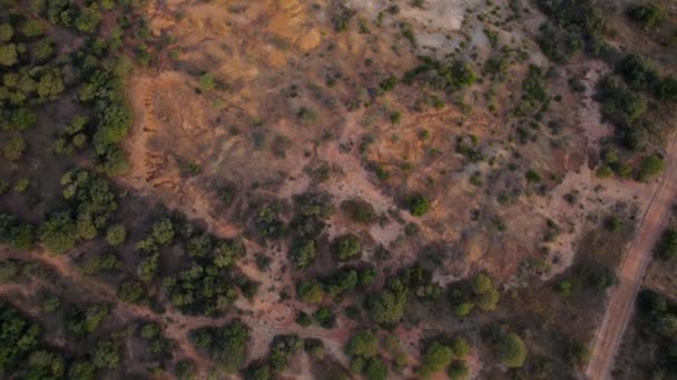 Paesaggio Macchia Deserto Sabbia Arancione Tramonto Nella Savana Africana Vista — Video Stock
