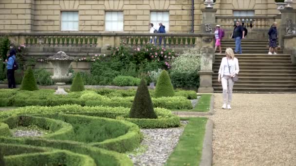 Wide Shot Women Checking Out Well Looked Garden — ストック動画