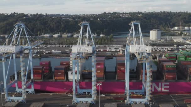 Big Cranes Loading Storage Containers Ship Vzduchový Pancéřový Výstřel — Stock video
