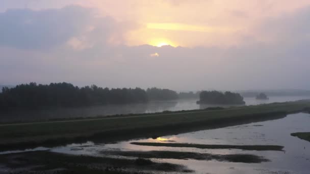 Flying Wetland Foggy Sunrise Lake Flock Birds Aerial — Vídeo de Stock