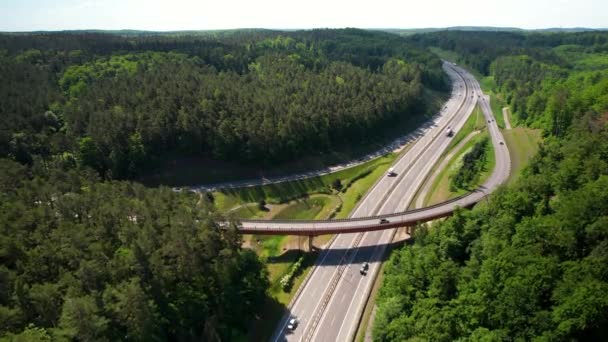 太陽光の下で緑の木々や森に囲まれたモダンな曲線の橋と洗練された高速道路での交通のドローンショット ポーランド グディニア — ストック動画