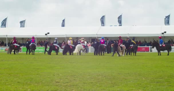 Royal Cornwall Show 2022 Young Boys Sat Shetland Ponies Preparing — Vídeo de Stock