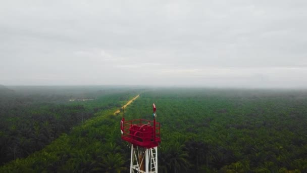 落日期间在棕榈树环抱的丛林中进行石油勘探开发的陆上钻井和修井结构及钻机设备的电影摄影机射击 — 图库视频影像
