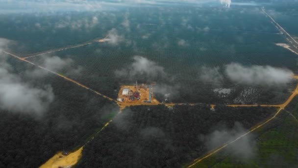夕暮れ時にパーム油の木に囲まれたジャングルの中での石油探査と搾取のための陸上掘削と作業用リグ構造物とリグ機器のシネマティックドローンショット — ストック動画