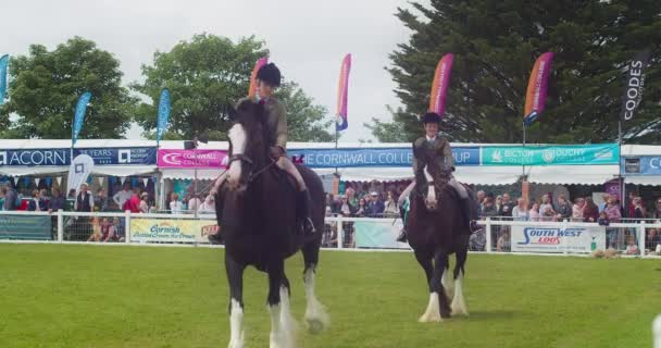 Royal Cornwall Show 2022 Female Jockeys Large Shire Horses Passing — Wideo stockowe