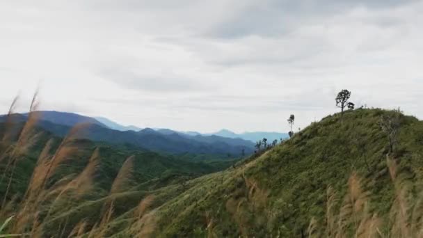 風が強い雲の丘と乾燥した草の山の層前景 木州ノイビューポイント メイウォン — ストック動画