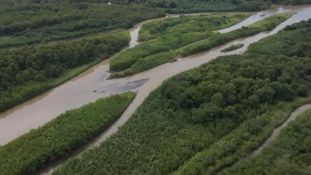 Wetlands surrounding the rio cotos in western Costa Rica. High angle flyover shot