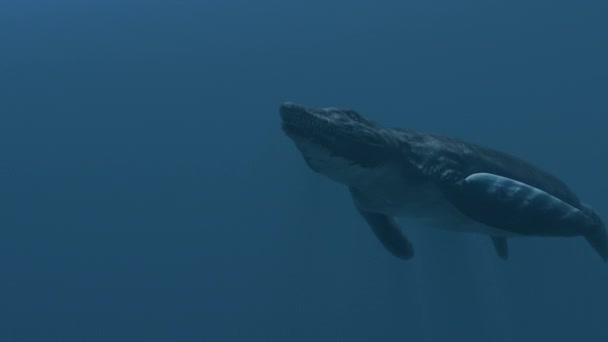 Kronosaur Pływa Ciemnym Oceanie — Wideo stockowe