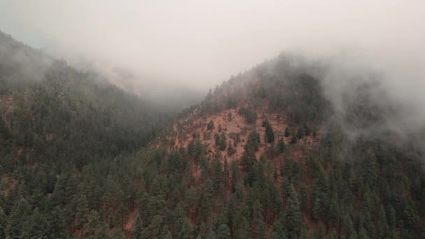 Langzame Luchtfoto Boven Altijd Groen Bos Mistige Piek Van Cheyenne — Stockvideo