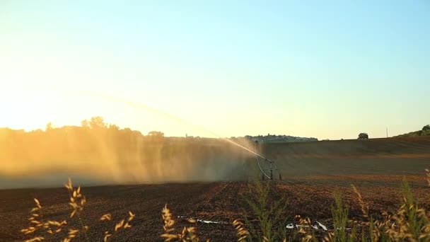 Оросительное Поливочное Оборудование Фермерском Поле Брызги Воды Опрыскивание Воды Закате — стоковое видео
