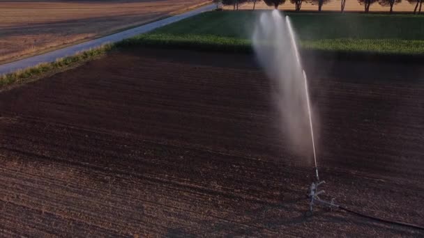 Luftaufnahme Von Bewässerungs Und Bewässerungsmaschinen Inmitten Von Landwirtschaftlichem Ackerland Das — Stockvideo