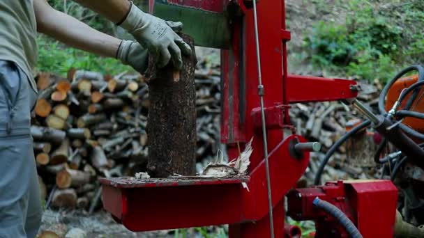 Dřevorubec Řezání Ořezávání Dřeva Kmeny Pomocí Dřevoobráběcích Strojů Dřevorubec Tesař — Stock video